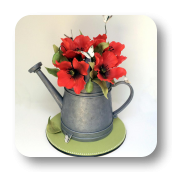 A Garden Themed Cake:  Watering Can with Edible Poppies