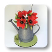 A Garden Themed Cake:  Watering Can with Edible Poppies