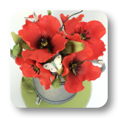 A Garden Themed Cake:  Watering Can with Edible Poppies