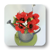 A Garden Themed Cake:  Watering Can with Edible Poppies