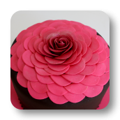 Rose Petal Cake